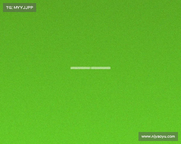 布雷默:伊尔迪兹类似亚马尔 希望弗拉霍维奇继续作为核心 布雷默:伊尔迪兹类似亚马尔 希望弗拉霍维奇继续作为核心