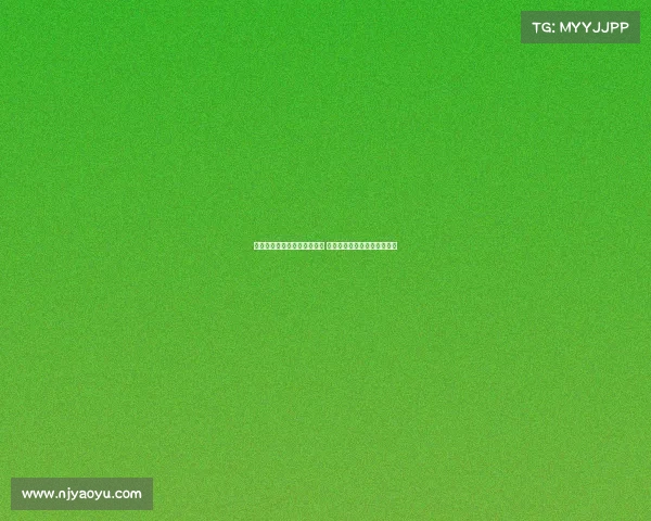 布雷默：伊尔迪兹类似亚马尔 希望弗拉霍维奇继续作为核心