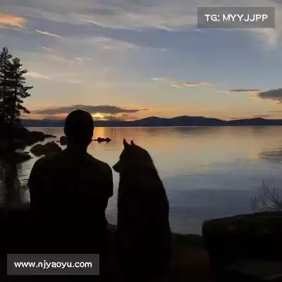 蔡骊祺
